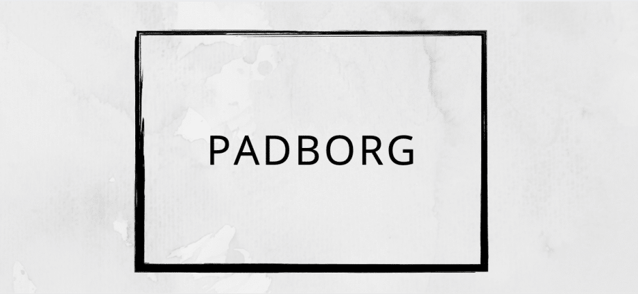 Pizza tilbud Padborg