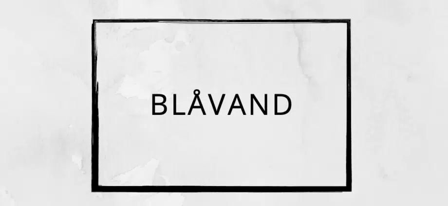 Pizza tilbud Blåvand